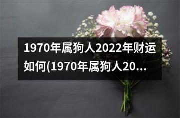 生肖狗2011年8月运气运程运势:晴