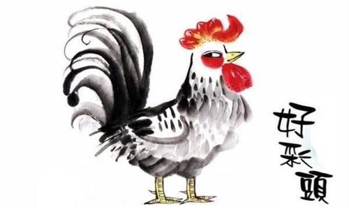 属鸡的人2019年剩下时间事业运能好转吗?是吉是凶?