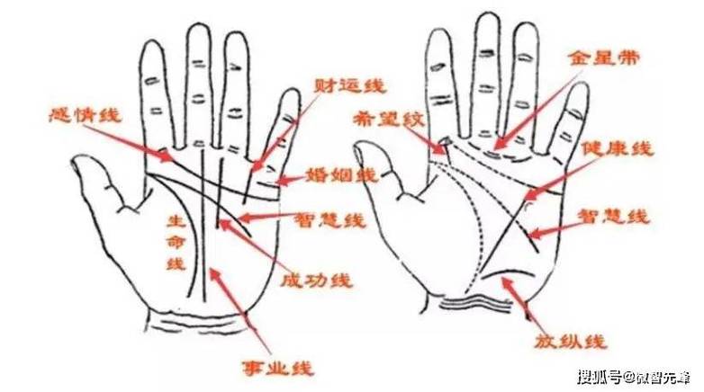 手相图解 最富贵的12种手相特征