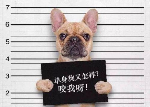 没有性生活认定为残疾?这些星座身残志坚