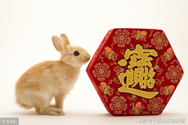 2020年属兔人刑太岁,健康隐患多,财运凶多吉少