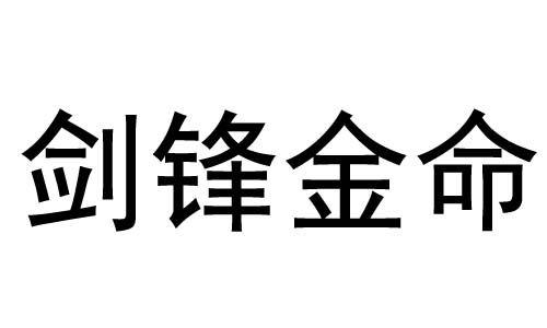 剑锋金命做什么生意好