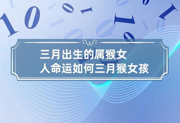 属猴的女人命运如何?