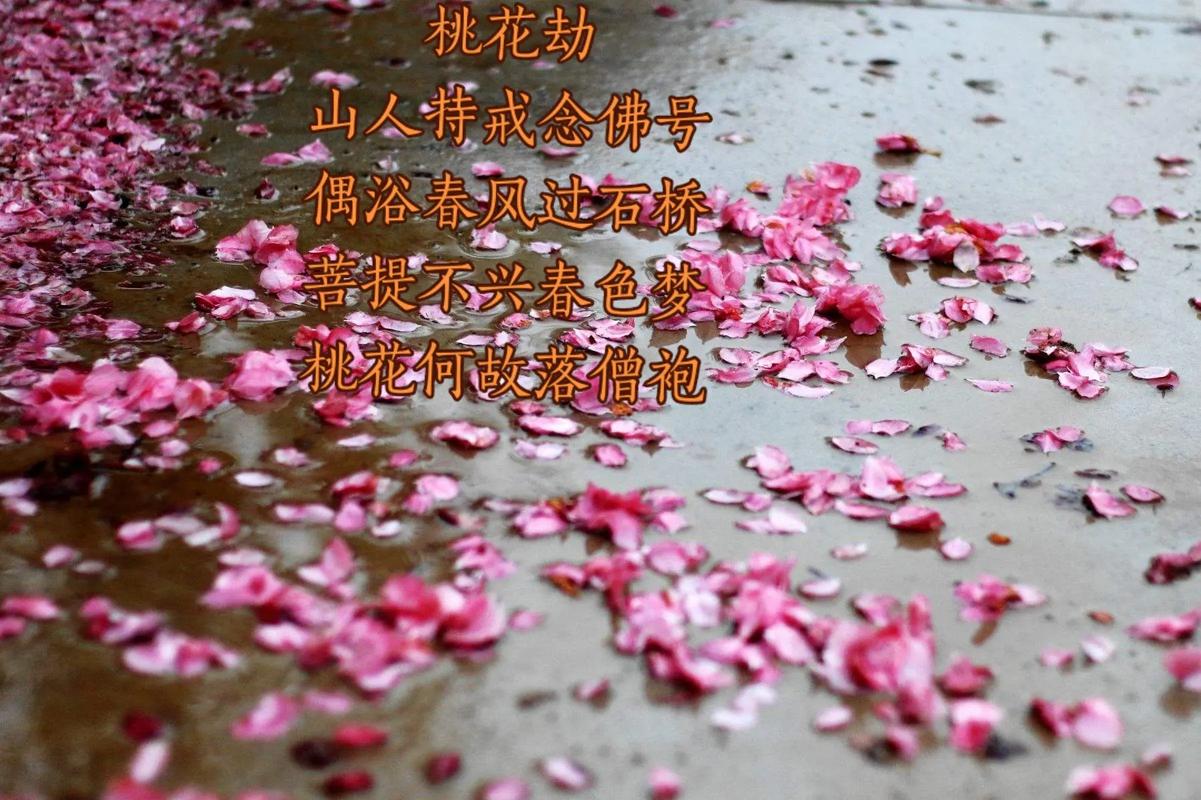 水命人怎么让桃花劫变成正桃花