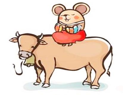爸爸属鼠孩子属牛好吗