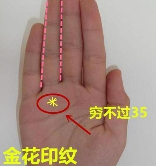 金花纹和六花纹手相区别