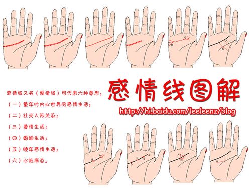 感情线分叉图解女人