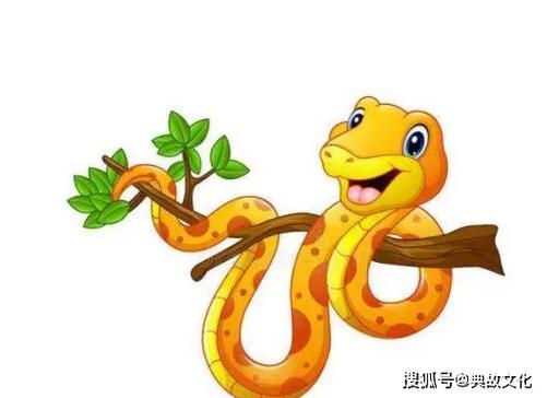 属蛇男找什么样的老婆旺