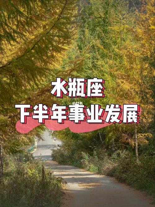 水瓶座事业会成功吗深度解析