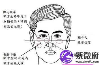 颧骨看男人一生命运,你的命运好不好?