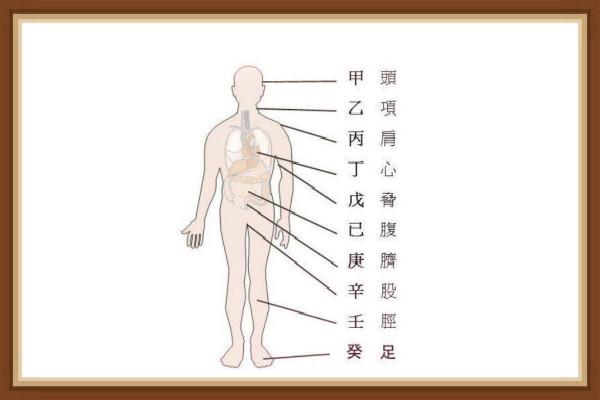怎样从八字看自己的身体状况