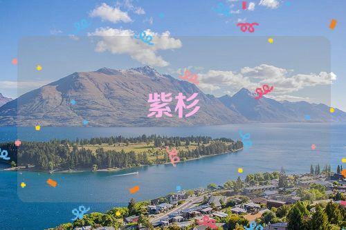 梦见紫杉是什么意思