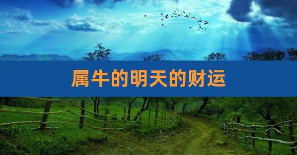 属牛2021年九月运势