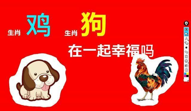生肖狗和生肖鸡的婚配情况
