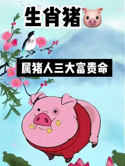 属猪的今年运势2020