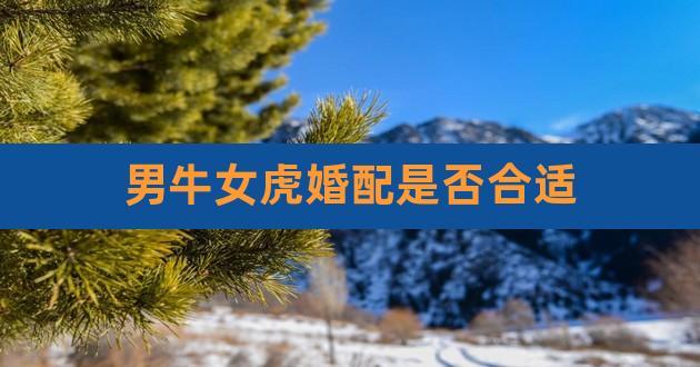 牛女和虎男结婚的后果如何