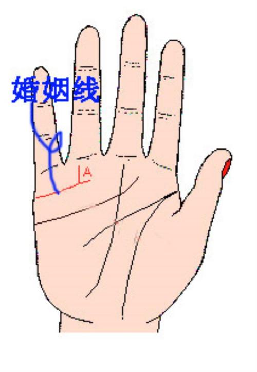 手相事业线爱情线相连的带图解析