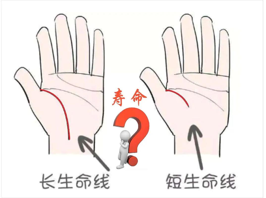 看手相生命线怎么看