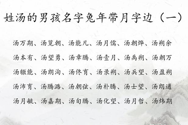 姓汤男孩简单名字