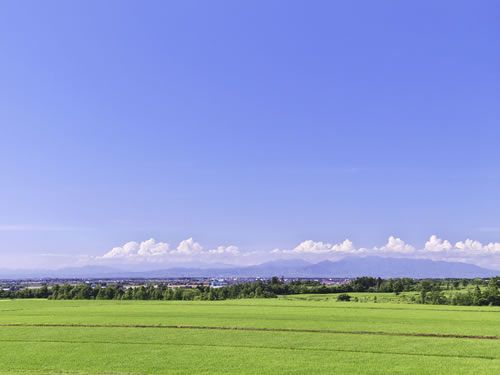 梦见平原、原野,