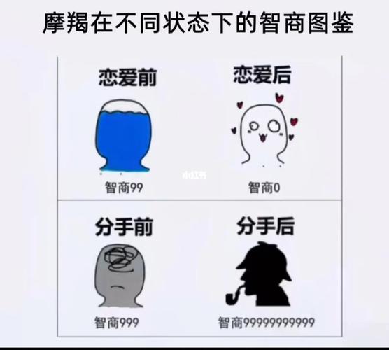 假如把摩羯座按照智商来划分
