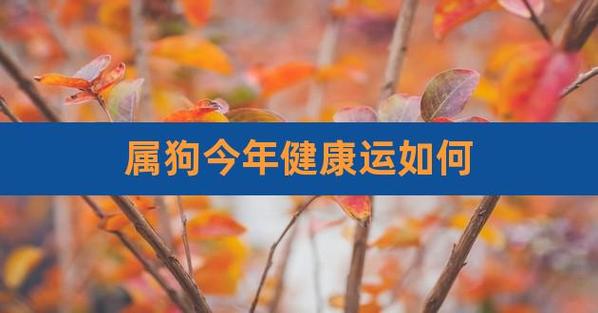 属狗人2021年健康运如何