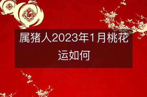 2023年属猪人桃花生肖,如何提升桃花运