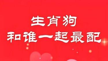 生肖狗跟什么生肖在一起最适合