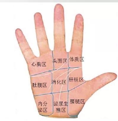 宝宝手相透漏出的身体小秘密