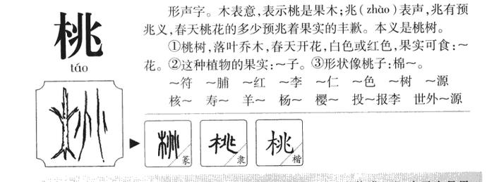 姓名分析:桃字取名的寓意