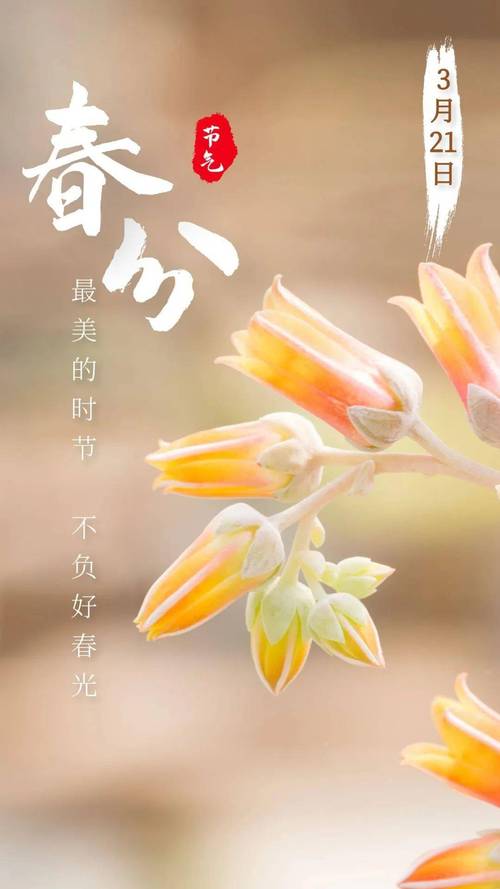 2021年春分出生的男孩命运