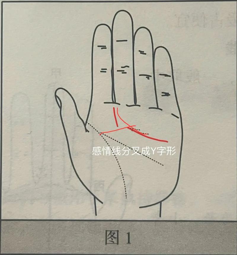 从手相看你运势如何