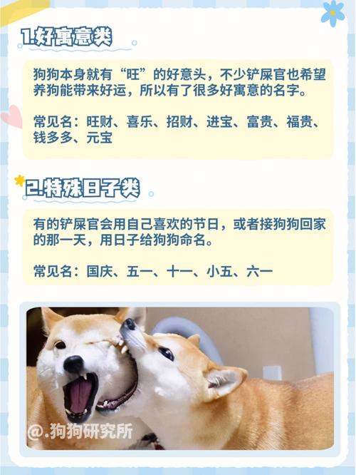 名狗大全名字及图片