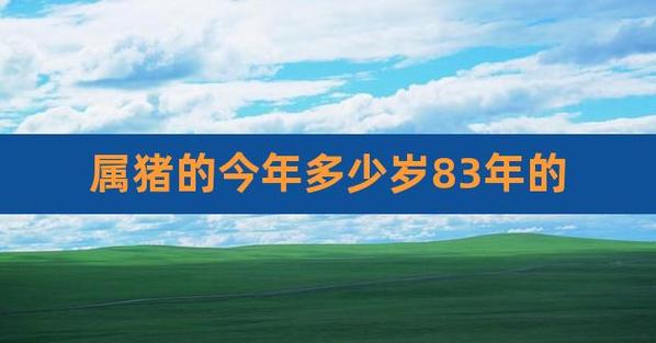 于1983年出生38岁属猪人在2021年夫妻感情走势