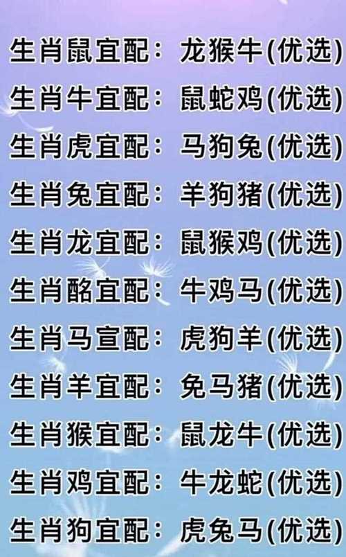 这些生肖追求安稳