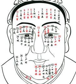 怎么看身上痣看相算命图解