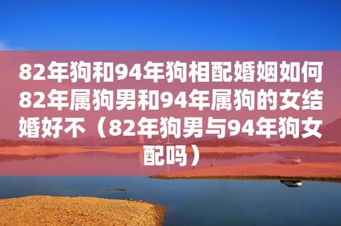 属狗男和属狗女婚姻怎么样