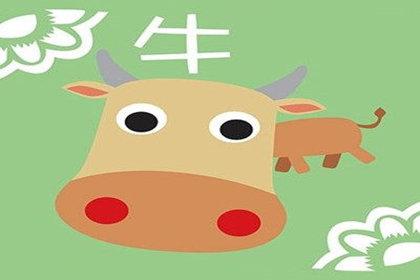 属牛的男人有什么缺点