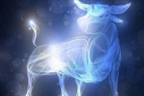上升金牛座有吸引力的地方