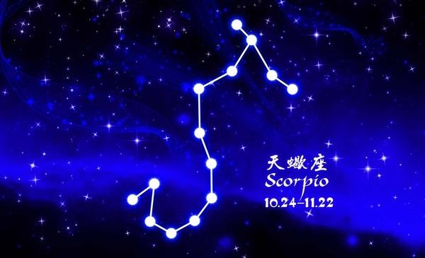 爱情上肚量很大的星座