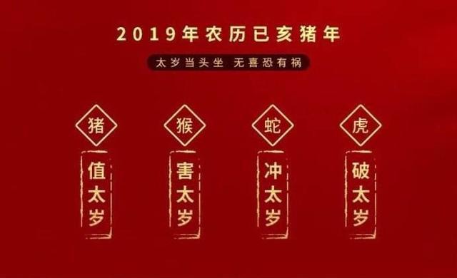 94年属什么2020年多大