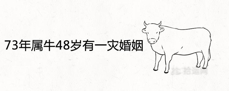 73年属牛48岁有一灾婚姻爱情怎么样
