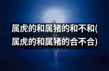 虎与猪是合还是冲