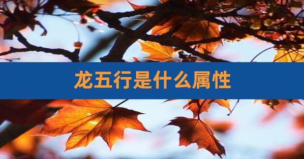 龙五行属什么?