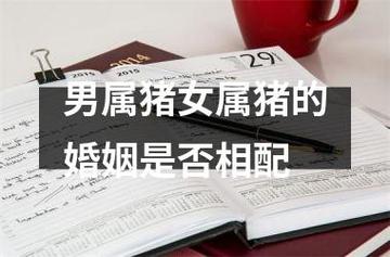 属猪男与属猪女相配吗