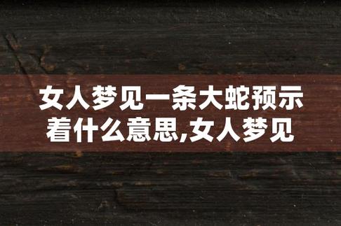 女人晚上梦到蛇是意思