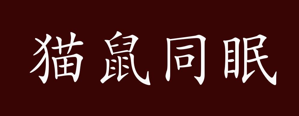 猫鼠同眠是什么生肖