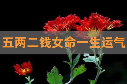 称骨算命-五两二钱,为人多才能心机灵变