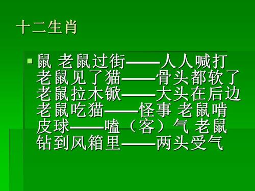 十二生肖开头的歇后语