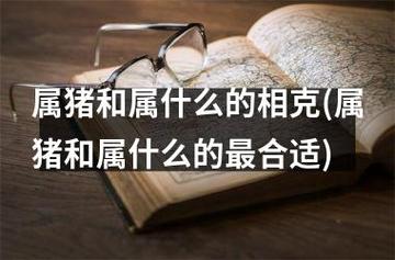 属猪一生最大克星,属猪人与谁最相克
